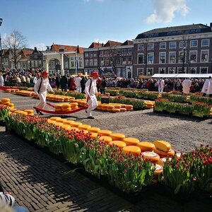 alkmaar-kaasmarktivertido-y-original